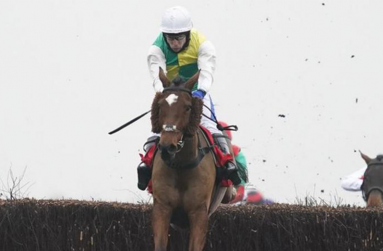 Cloth Cap is the favourite for tomorrow's race.