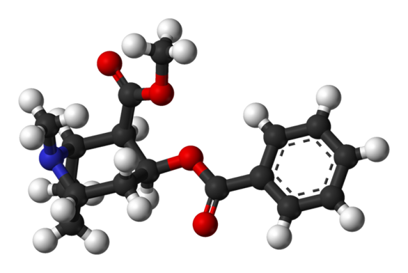 Cocaine-3D-structure