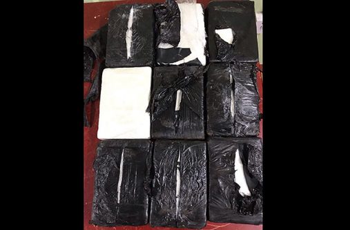 The suspected cocaine seized by CANU