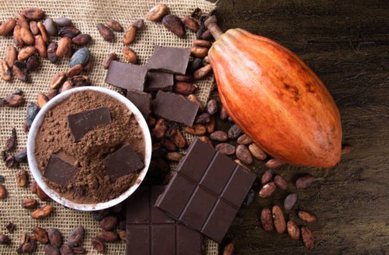 The cocoa industry is currently being reengineered as the government aims to cultivate this crop locally and subsequently, market it as a tourism product to the world