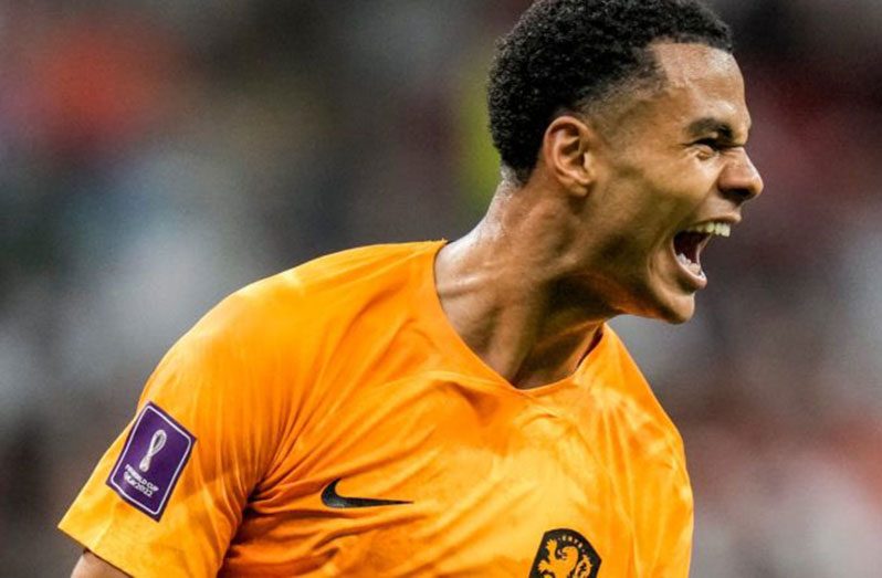Cody Gakpo of the Netherlands celebrates his goal (Photo: Skysports)