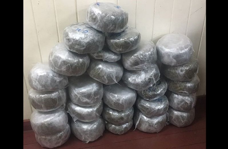 The cannabis sativa which was found in the apartment of the cousins on Friday