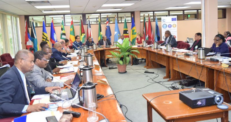 The consultation on the establishment of a Regional Tripartite Social Dialogue Mechanism, and a Social Protection Floor at the CARICOM Secretariat