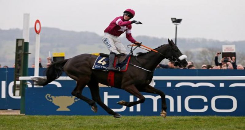 Don Cossack celebrates winning the 3.30 Timico Cheltenham Gold Cup Chase. (Action Images via Reuters/Paul ChildsLivepic)