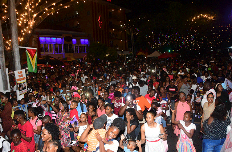 A section of the crowd at Courts Christmas Three Light Up on Friday