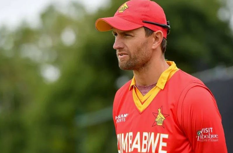 Craig Ervine has led Zimbabwe in 15 internationals so far  ( Getty Images)