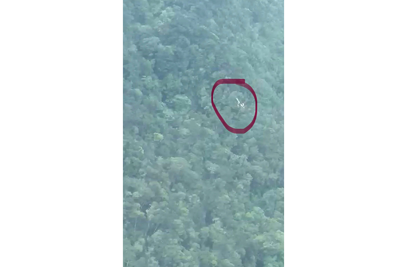Crash site highlighted in a circle, showing the steep and heavily forested terrain where the aircraft went down