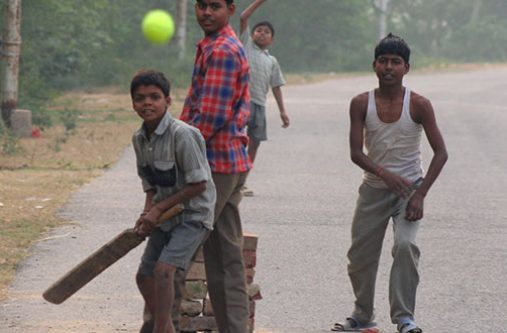 Cricket