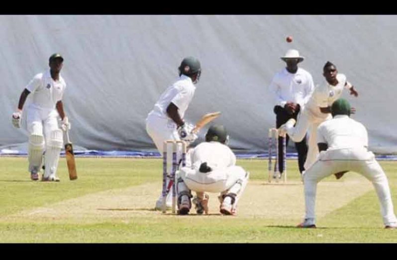 The cricket umpires course is set to begin on June 5.