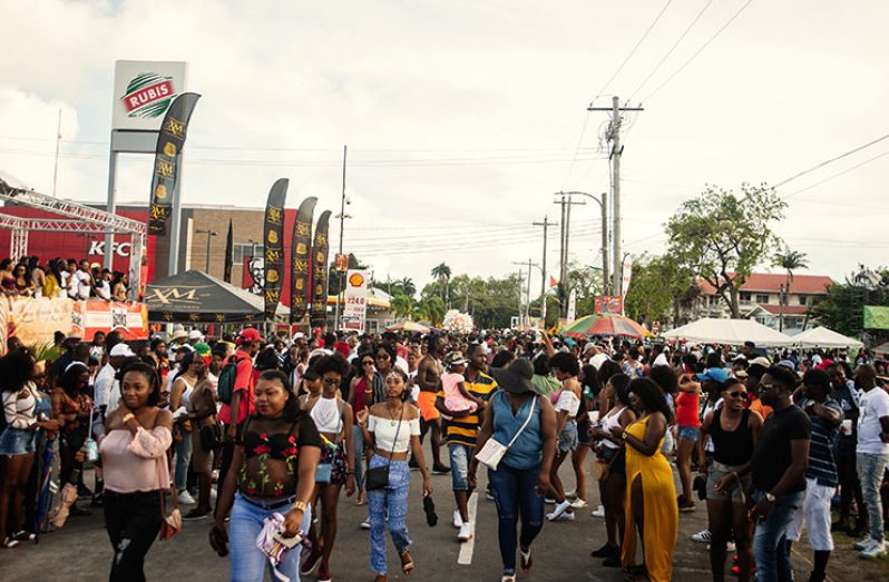 A section of the crowd of spectators on Vlissengen Road that turned out on Sunday to witness the second annual Guyana Carnival Road Parade (Samuel Maughn photo)