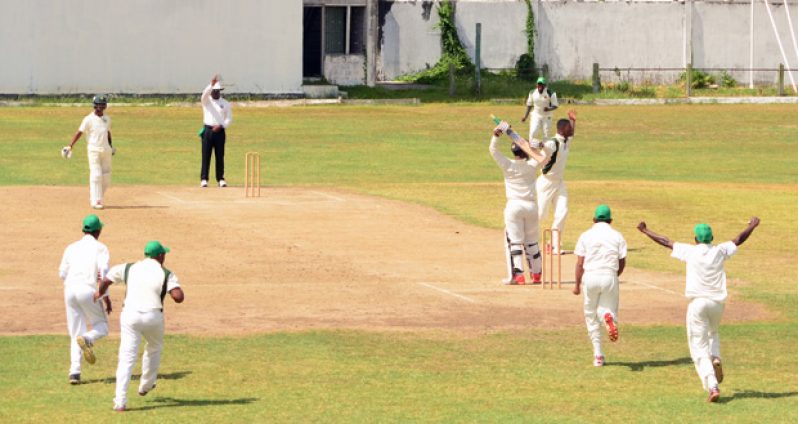 Romario Shepard had Brian Sattaur caught behind for two