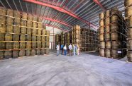 Demerara Distillers Limited (DDL), producers of the world-renowned Demerara Rums, has significantly upgraded its ageing capacity with the construction of a new barrel ageing warehouse, Warehouse N, at its Plantation Diamond, East Bank Demerara facility