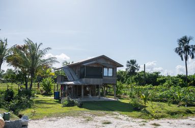 DGW_3953