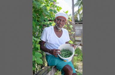 73-year-old Christopher Clarke is one of the first settlers of Block 22 Wismar Squatting Area, Linden. He relocated there 23 years ago and is seen as a village leader among the residents. In this photo, Clarke proudly displays freshly picked vegetables from his farm (Delano Williams photos)