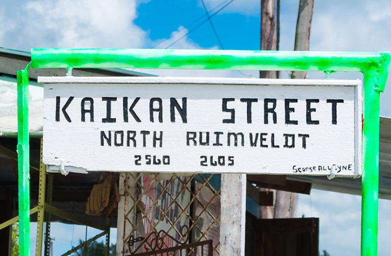 The refurbished Kaikan Street sign