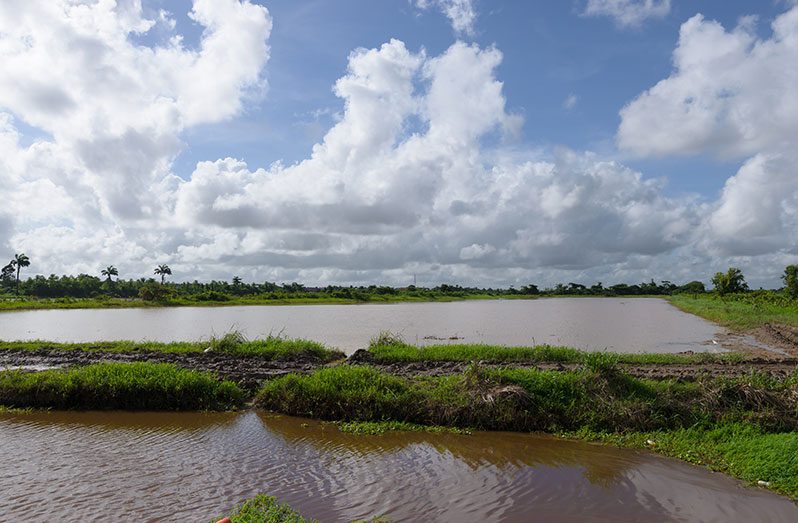 Samaroo Dam Village (Delano Williams photos)