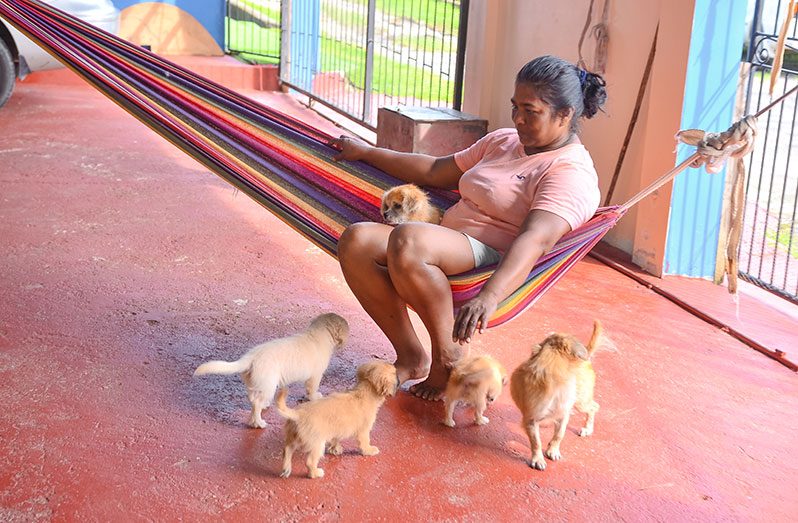 Nanda Goordial with some of her dogs (Delano Williams photos)