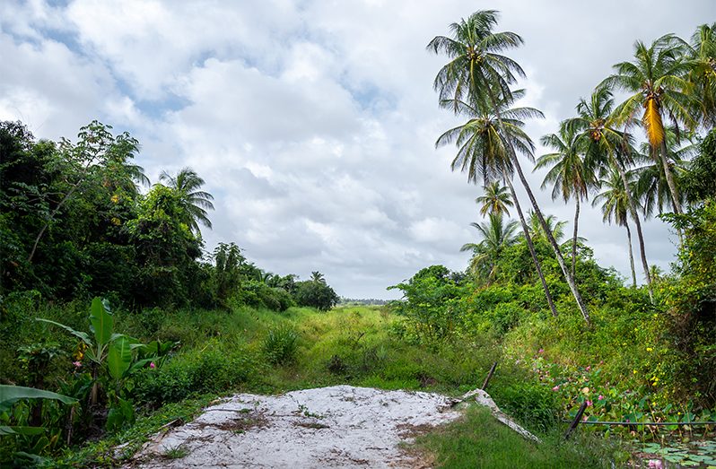 Unity Backdam Village (Delano Williams photos)