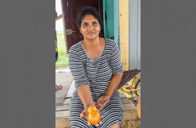 Lilawattie Rajkumar displaying harvested garden-fresh tomatoes (Delano Williams photos)