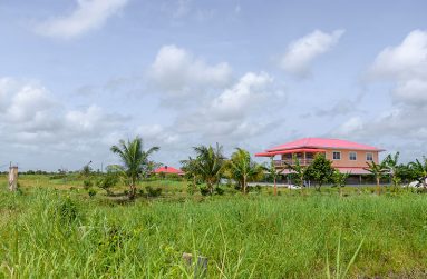 A view of various aspects of Big Biaboo Village (Delano Williams' photos)