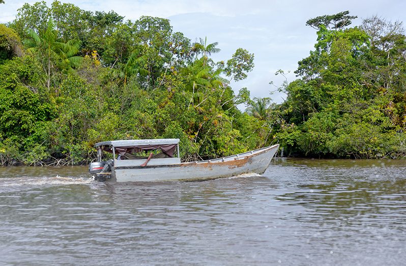 Scenes from Essequibo River (Delano Williams photos)