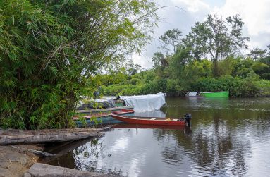 Canje Creek