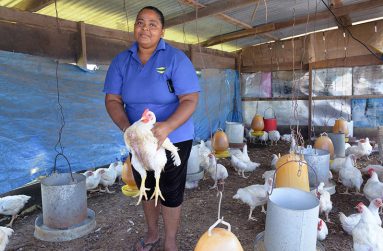 Eavette Grimes in her chicken pen (Delano Williams photos)