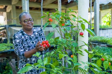 Reverend Sherrill Halley poses with some of her produce