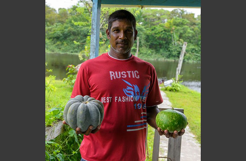 Rajkumar Ramcharran is a farmer of Bonasika Creek, Essequibo River. He is insistent on upkeeping the family tradition of farming despite challenges. On this photo, Ramcharran proudly displays vegetables from his farm (Delano Williams photo)