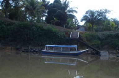 DSC00528