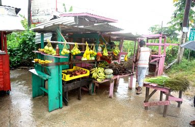 Paul Ferdinand’s roadside stand at Friendship Village