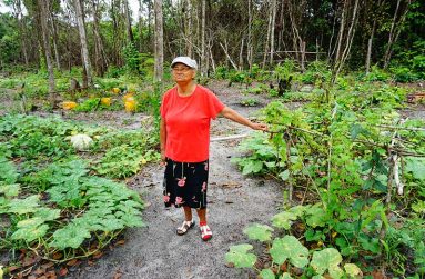 Jean Wagner in her favourite place -- the garden (Carl Croker photos)
