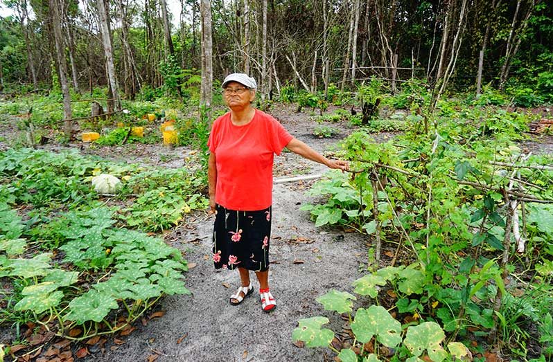 Jean Wagner in her favourite place -- the garden (Carl Croker photos)