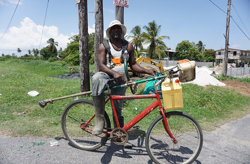‘Weeder Man’ Rakesh Sijorie at Boerasirie, East Bank Essequibo (Carl Croker photos)