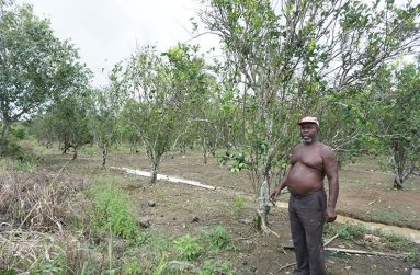 Daniel Ward on his farm.
