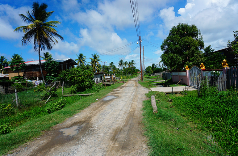 Ross Village (Carl Croker photos)