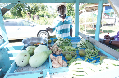 Manual push-cart vendor, Ganesh Sanichara called “Deo” (Carl Croker photos)