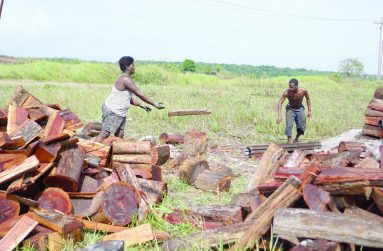 Shaundel King and her husband packing wood in a pit for coal mining