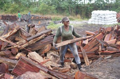 Keisha Higgins working at the coal-mining pit site in Circuitville (Carl Croker photos)