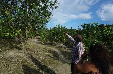 Dhaneeran Mangal on his farm