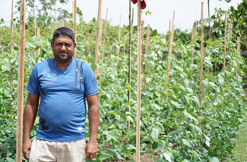 Line Path, Corriverton resident Vinod Mohanlall stands in front of his farm where he cultivates bora, ochro, corilla and squash to sell at the Skeldon
Market. This practice, he says, is one of quite a few income-earners that he maintains in order to support his family (Carl Croker photo)