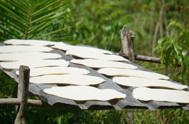 Freshly baked cassava bread placed to be sun-dried before packaging