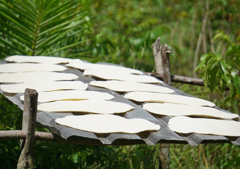 Freshly baked cassava bread placed to be sun-dried before packaging