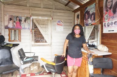 Vanester Lucius in her Braid Shop (Carl Croker photos )
