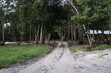 DSC06471