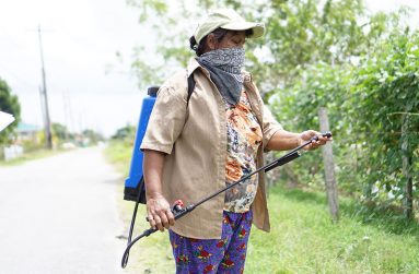 Bhagmattie Jaikissoon spraying pesticide on her cultivation