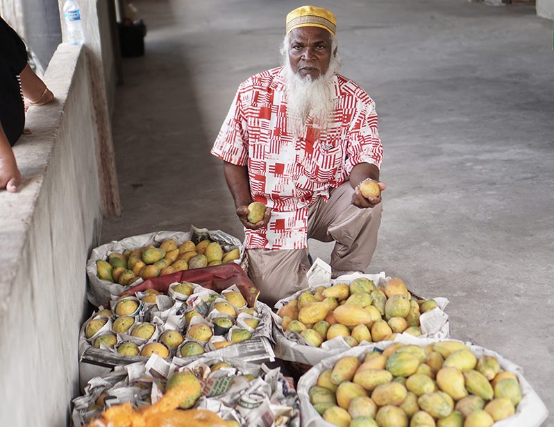 Farmer Lakhan Budhan with his freshly harvested papaya (Carl Croker photos)