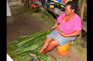 Sophia Victor stripping coconut branches to make  pointer brooms (Carl Croker)