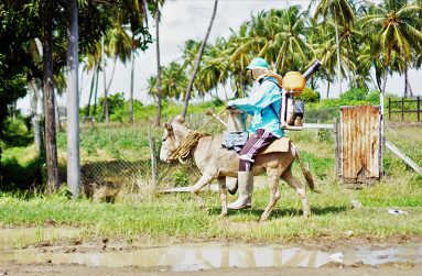 Yakusari Village (Carl Croker photos)