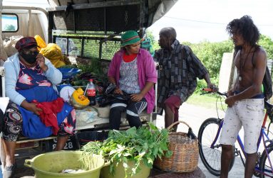 Margaret Rudolph and her workers on the canter truck selling greens and fruits in Vriesland Village
